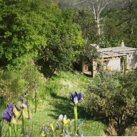 Cortijo La Vinuela Villa Atalbeitar Eksteriør billede