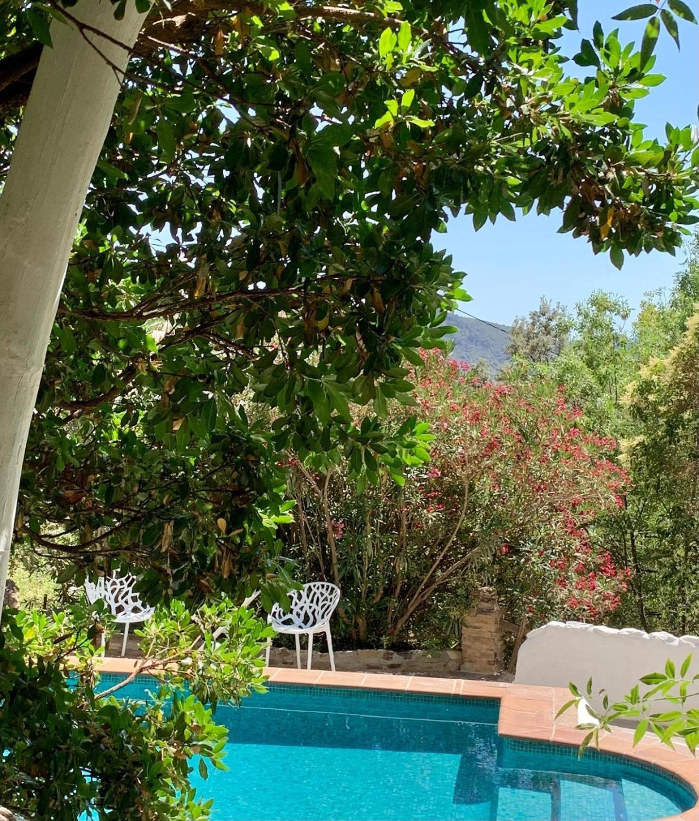 Cortijo La Vinuela Villa Atalbeitar Eksteriør billede