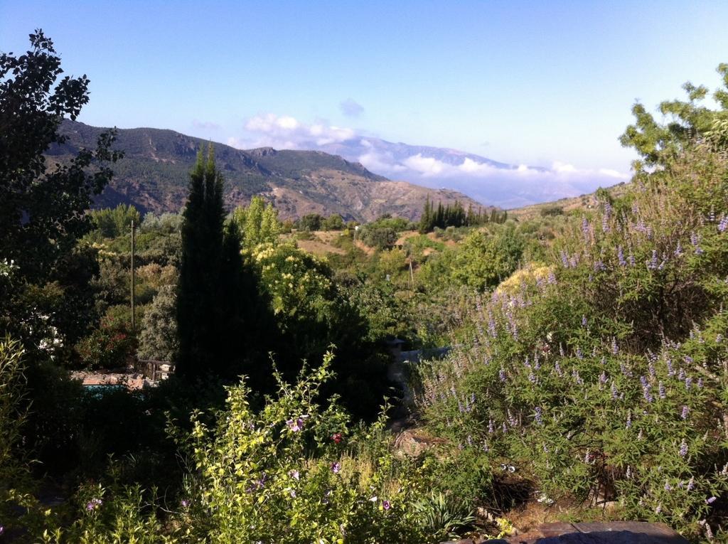 Cortijo La Vinuela Villa Atalbeitar Eksteriør billede