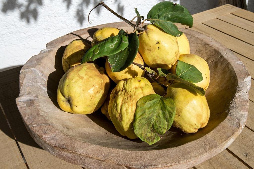 Cortijo La Vinuela Villa Atalbeitar Værelse billede